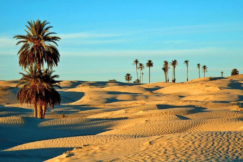 Camp Sahara Holidays M'Hamid Exteriör bild