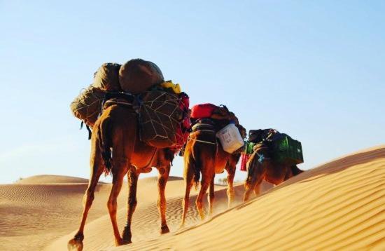Camp Sahara Holidays M'Hamid Exteriör bild