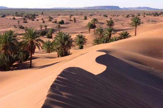 Camp Sahara Holidays M'Hamid Exteriör bild