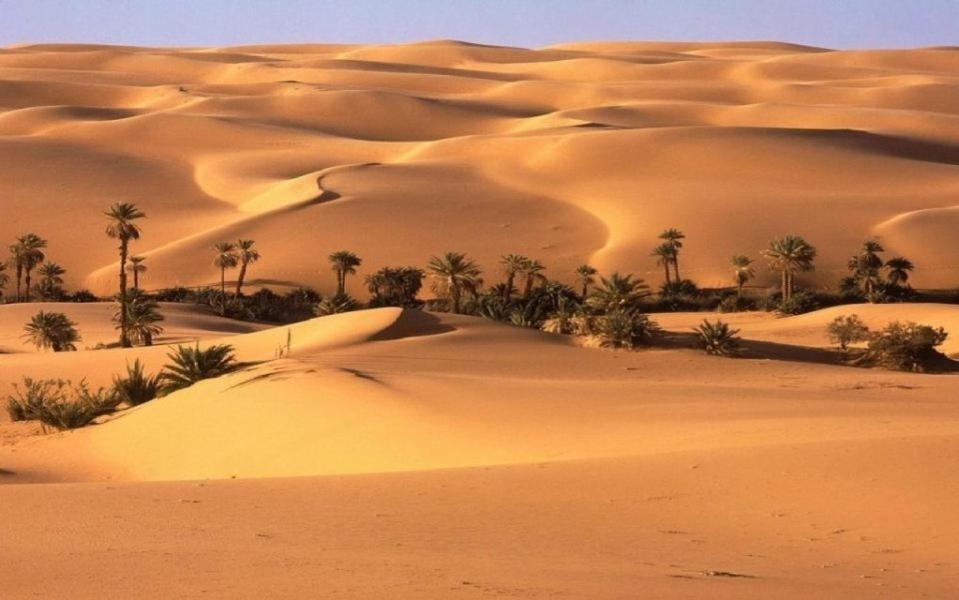 Camp Sahara Holidays M'Hamid Exteriör bild