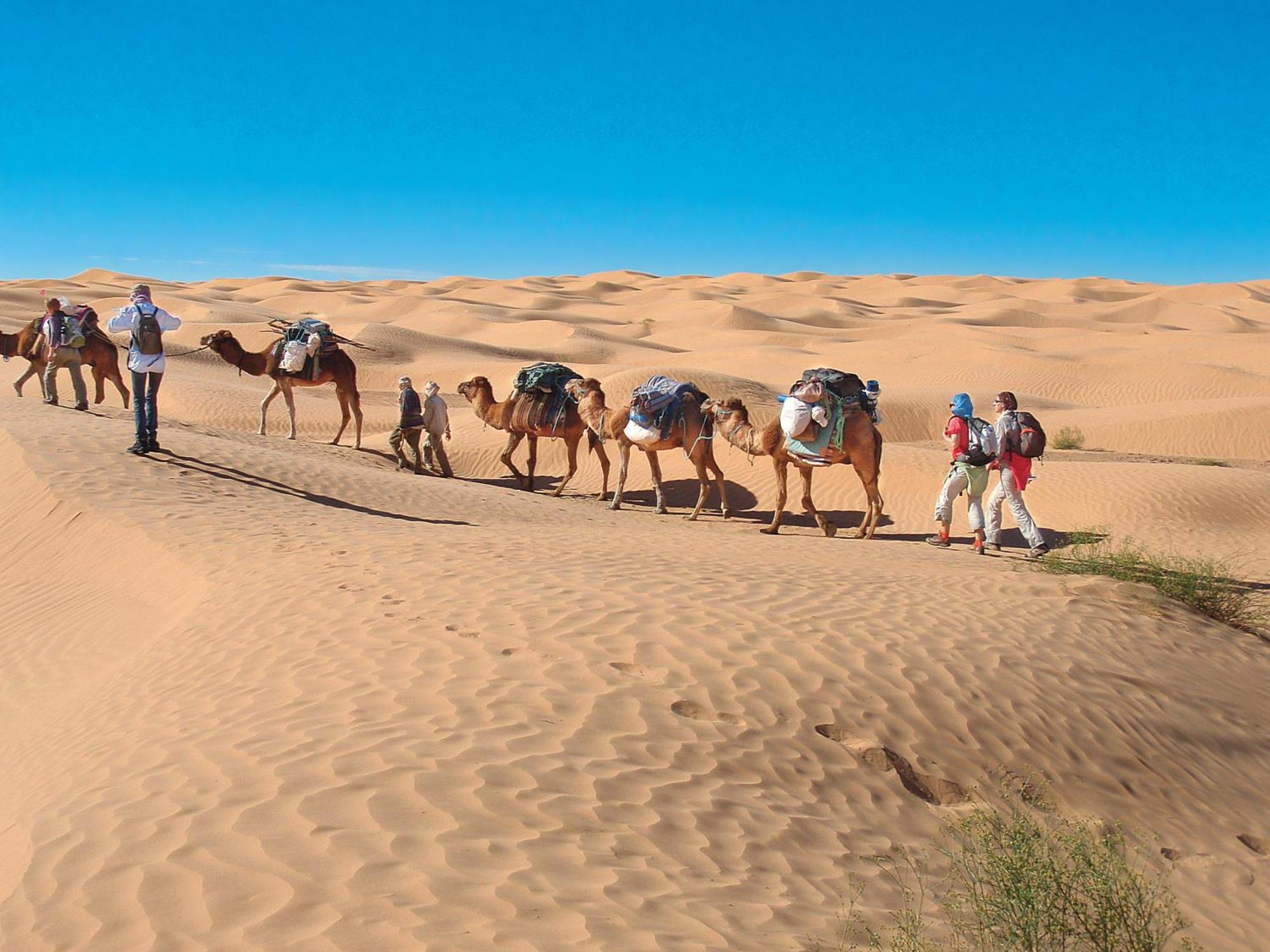 Camp Sahara Holidays M'Hamid Exteriör bild