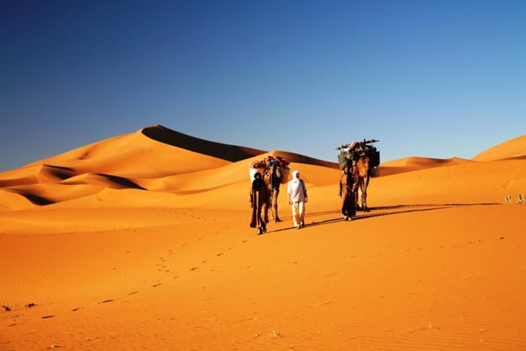 Camp Sahara Holidays M'Hamid Exteriör bild