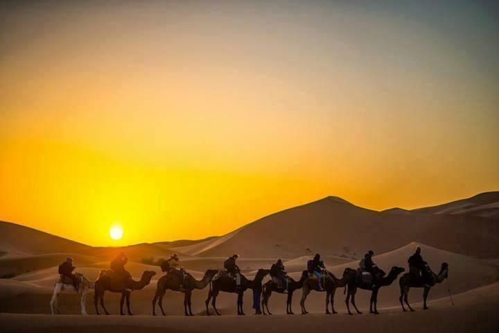 Camp Sahara Holidays M'Hamid Exteriör bild