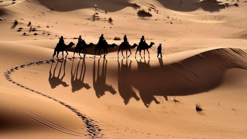 Camp Sahara Holidays M'Hamid Exteriör bild
