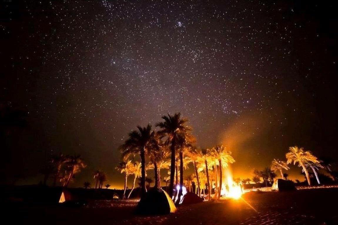 Camp Sahara Holidays M'Hamid Exteriör bild