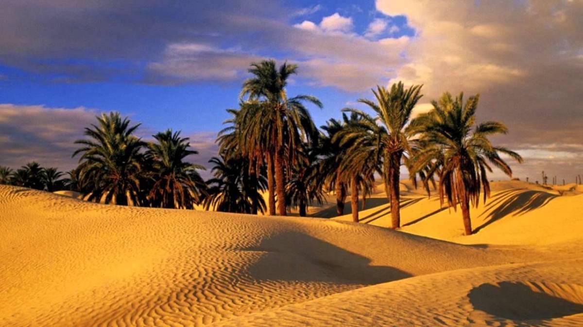 Camp Sahara Holidays M'Hamid Exteriör bild