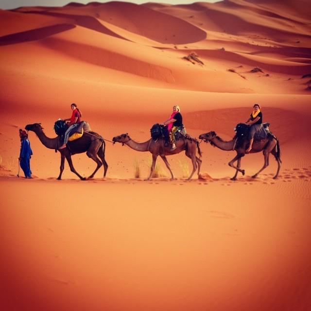 Camp Sahara Holidays M'Hamid Exteriör bild