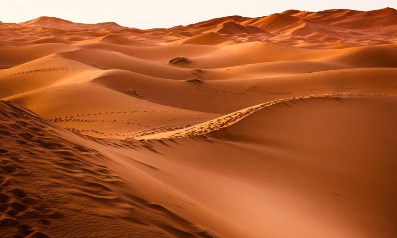 Camp Sahara Holidays M'Hamid Exteriör bild