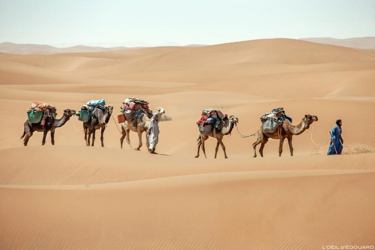 Camp Sahara Holidays M'Hamid Exteriör bild