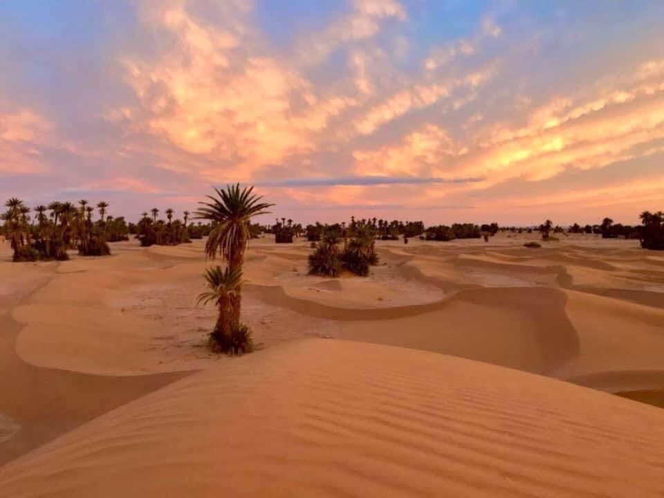 Camp Sahara Holidays M'Hamid Exteriör bild